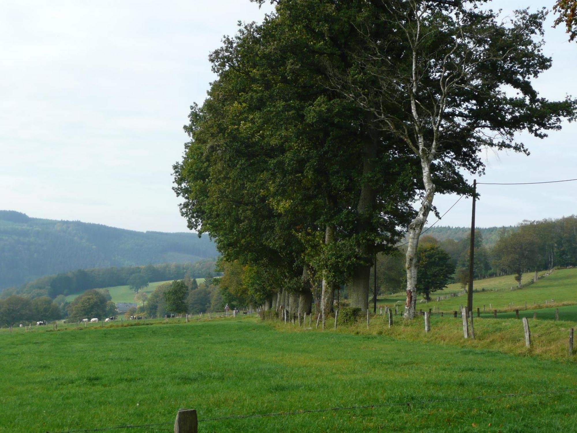 Le Fournil Gite Rural Trois-Ponts Dış mekan fotoğraf