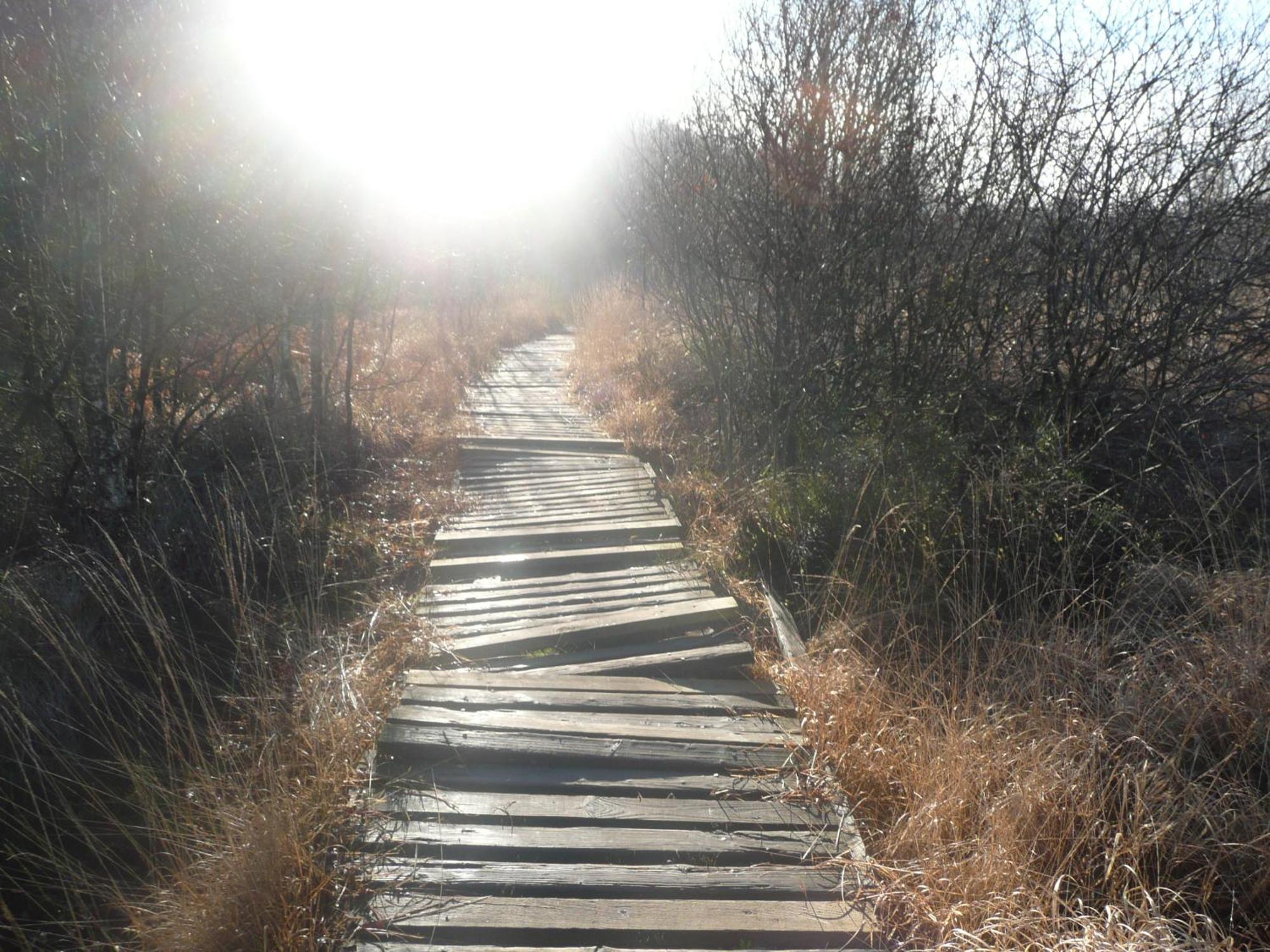 Le Fournil Gite Rural Trois-Ponts Dış mekan fotoğraf